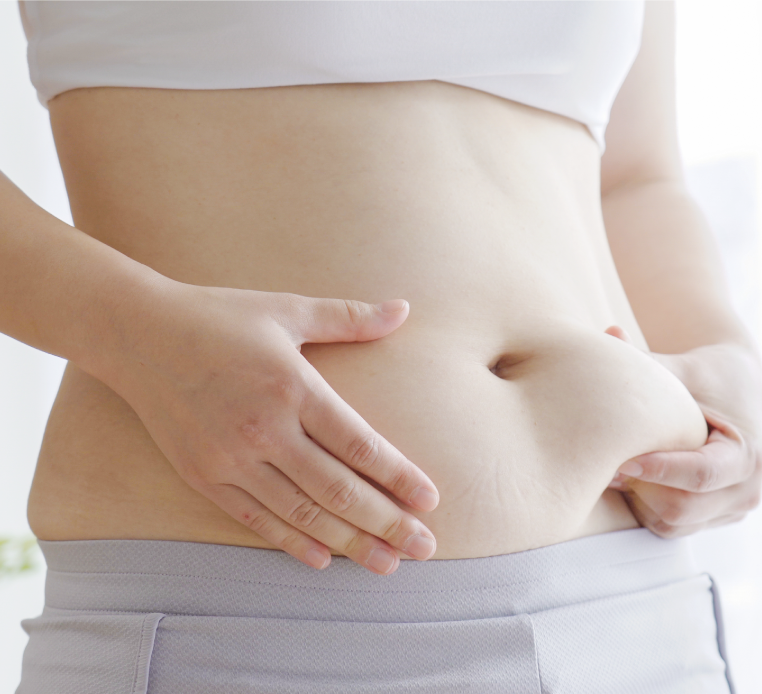 メタボリックのイメージ